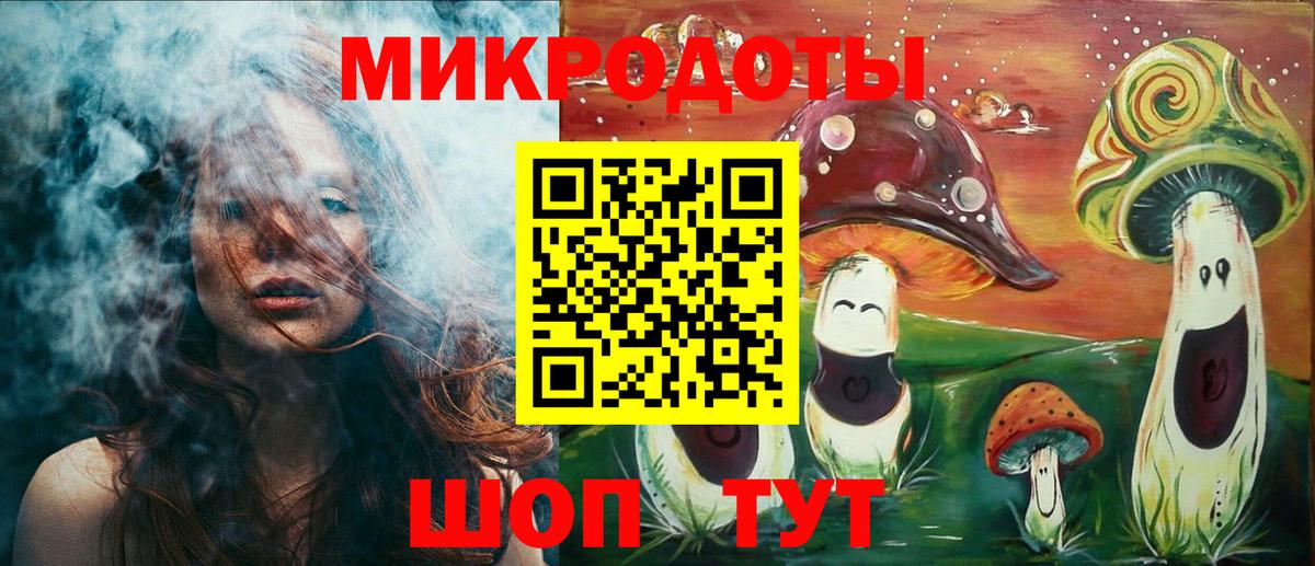 Галлюциногенные грибы Psilocybine cubensis Удомля